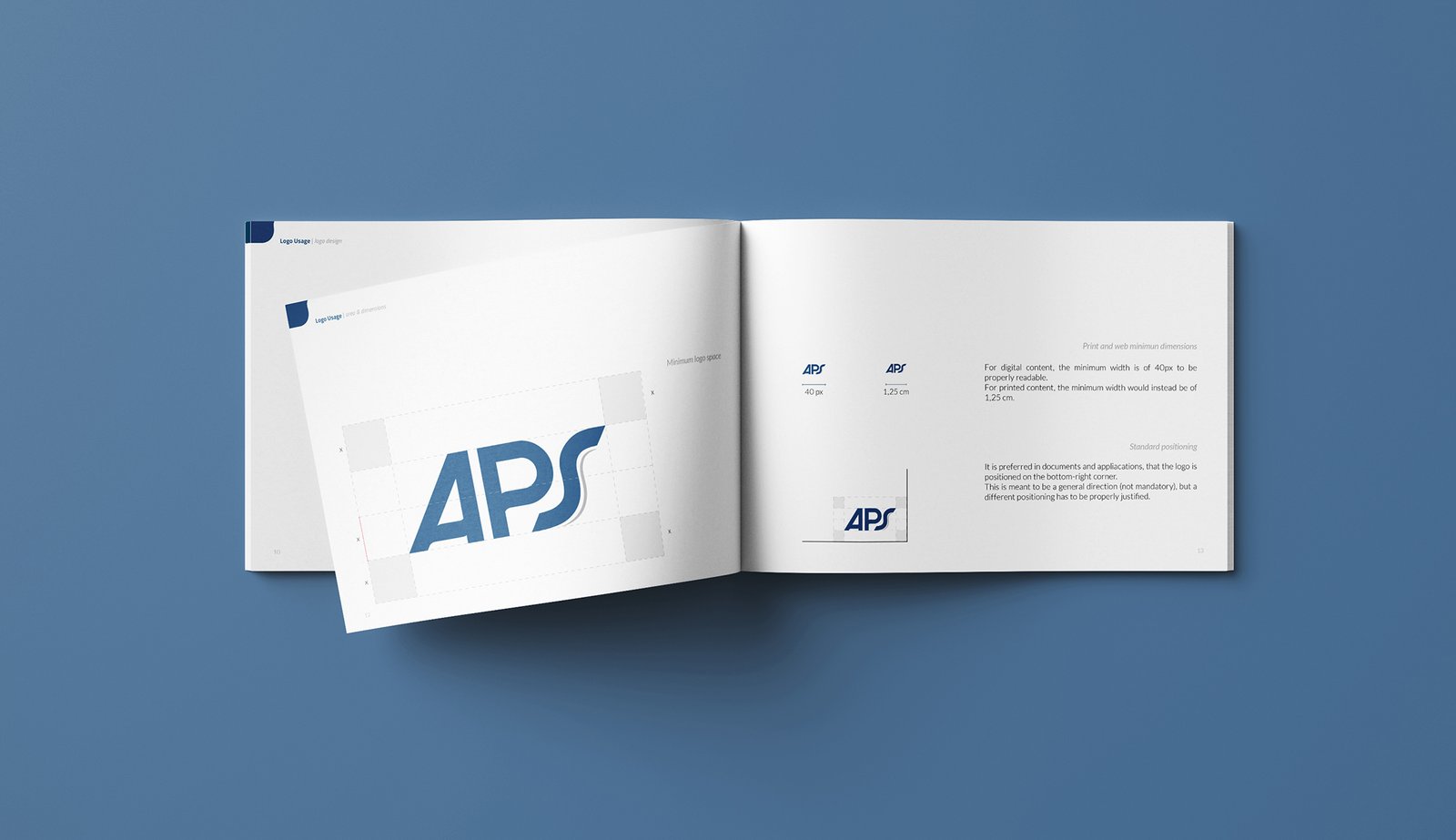 APS singapore brandbook guidelines logo specifications