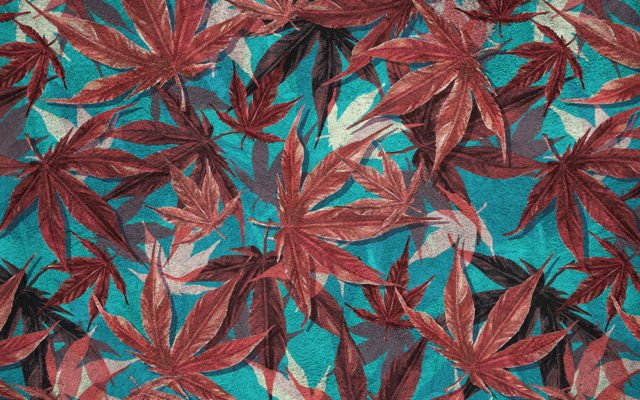 pattern wallpaper decor japanese maple leaves interior design stucco texture